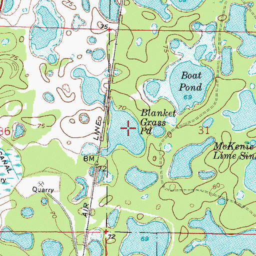 Topographic Map of Blanket Grass Pond, FL