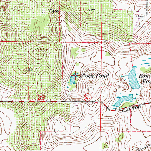 Topographic Map of Block Pond, FL