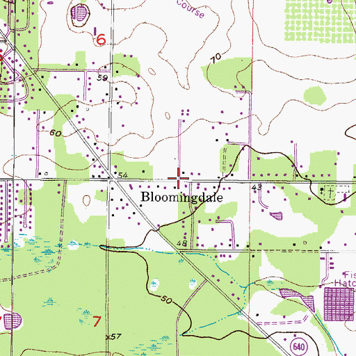 Topographic Map of Bloomingdale, FL