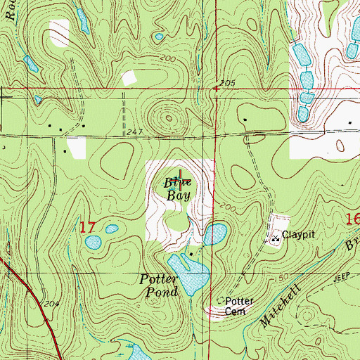 Topographic Map of Blue Bay, FL