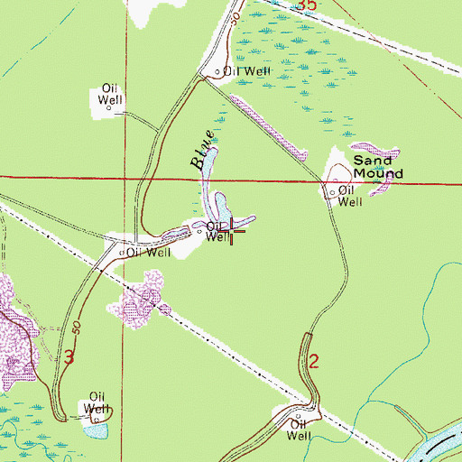Topographic Map of Blue Branch, FL