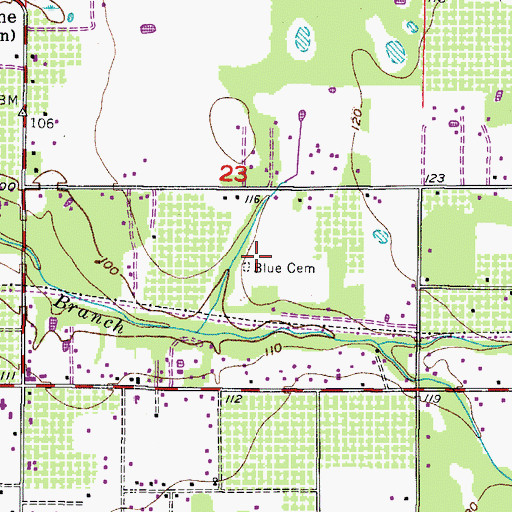 Topographic Map of Blue Cemetery, FL