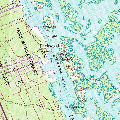 Topographic Map of Blue Hole, FL