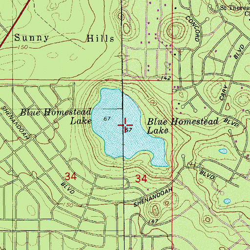 Topographic Map of Blue Homestead Lake, FL