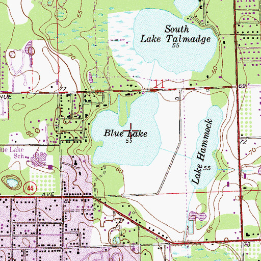 Topographic Map of Blue Lake, FL