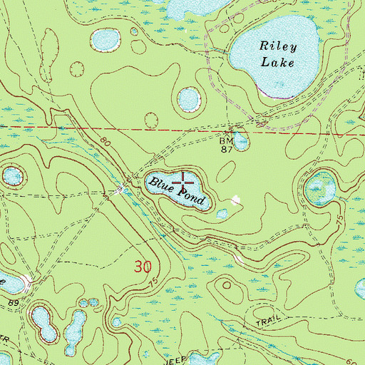 Topographic Map of Blue Pond, FL