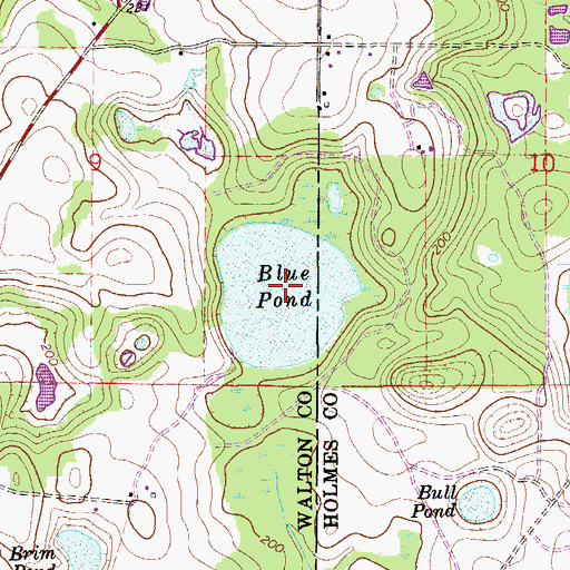 Topographic Map of Blue Pond, FL