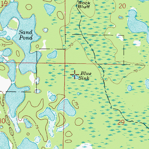 Topographic Map of Blue Sink, FL