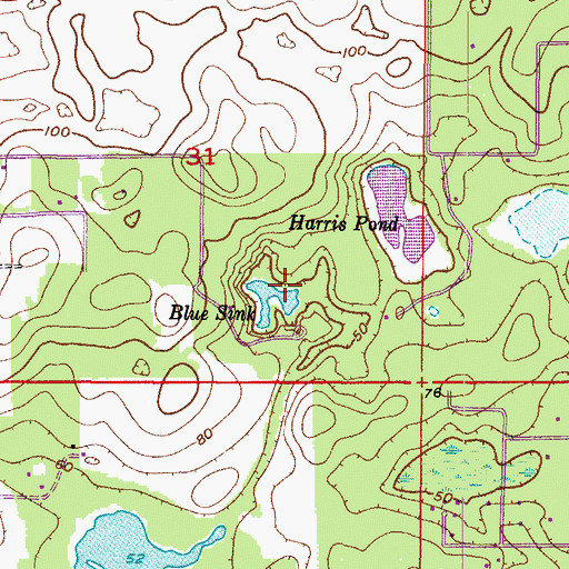 Topographic Map of Blue Sink, FL