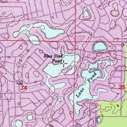 Topographic Map of Blue Sink Pond, FL