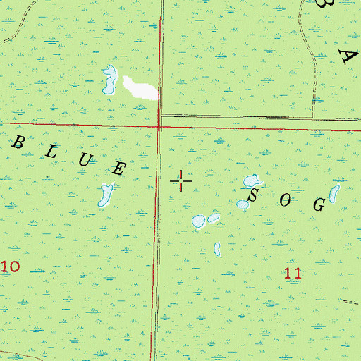Topographic Map of Blue Sog, FL
