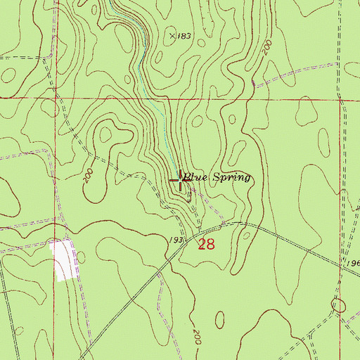Topographic Map of Blue Spring, FL