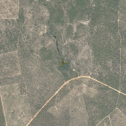 Aerial/Satellite Image of Blue Spring, FL