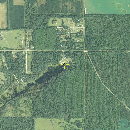 Aerial/Satellite Image of Blue Spring, FL