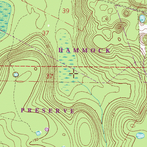 Topographic Map of Blues Creek, FL