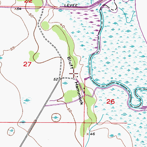 Topographic Map of Bluff Hammock, FL