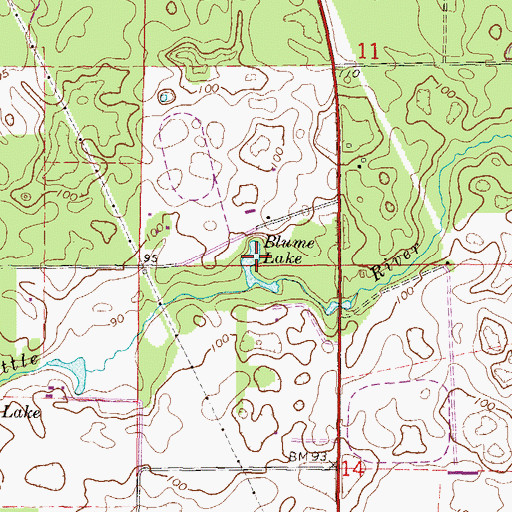 Topographic Map of Blume Lake, FL