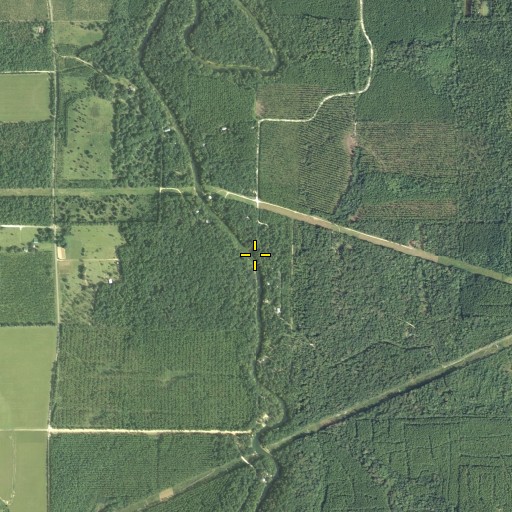 Aerial/Satellite Image of Boardhead Branch, FL