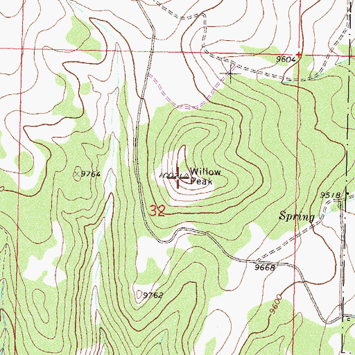 Topographic Map of Willow Peak, CO