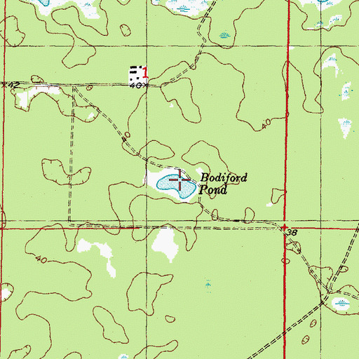 Topographic Map of Bodiford Pond, FL