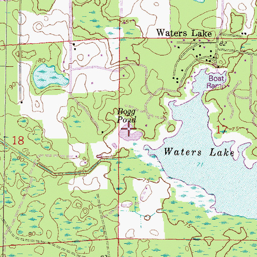 Topographic Map of Bogg Pond, FL