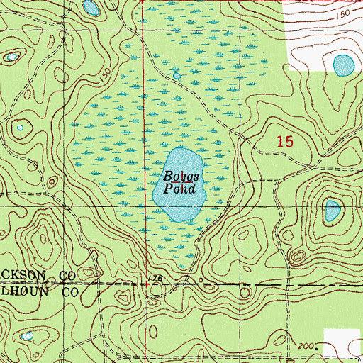 Topographic Map of Boggs Pond, FL