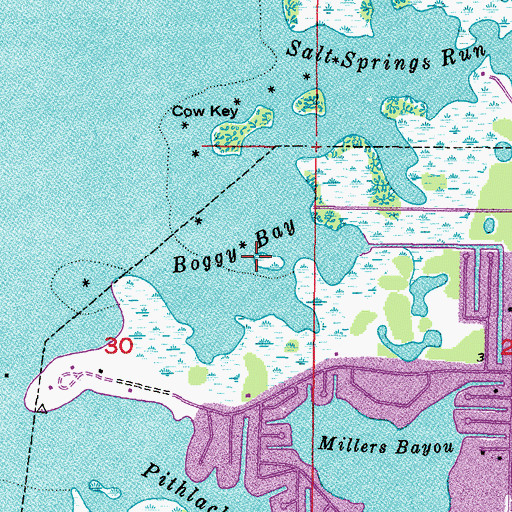 Topographic Map of Boggy Bay, FL