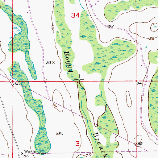 Topographic Map of Boggy Branch, FL