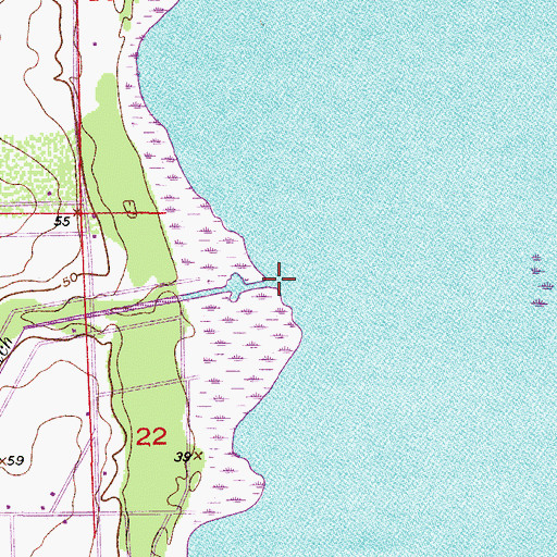Topographic Map of Boggy Branch, FL