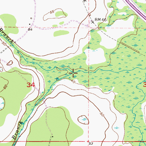 Topographic Map of Boggy Branch, FL
