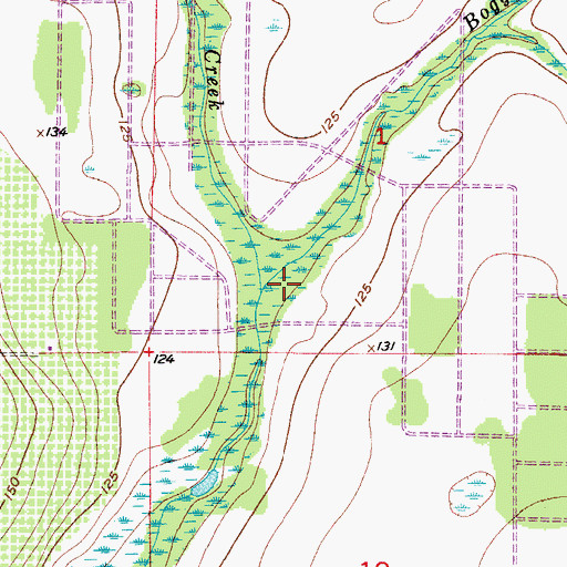 Topographic Map of Boggy Branch, FL