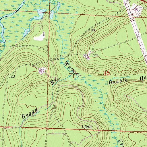 Topographic Map of Boggy Branch, FL