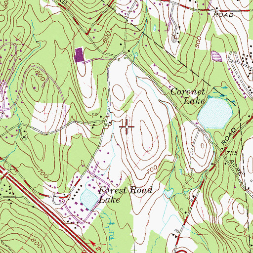 Topographic Map of Town of Palm Tree, NY