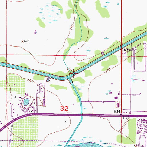 Topographic Map of Boggy Branch, FL