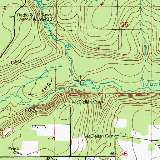 Topographic Map of Boggy Branch, FL