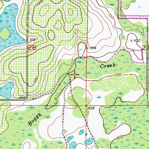 Topographic Map of Boggy Creek, FL