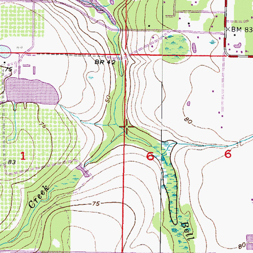 Topographic Map of Boggy Creek, FL