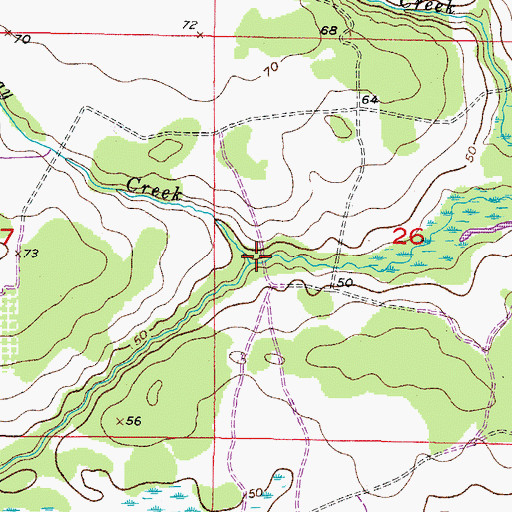 Topographic Map of Boggy Creek, FL