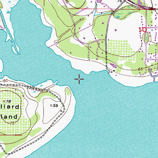 Topographic Map of Boggy Creek, FL