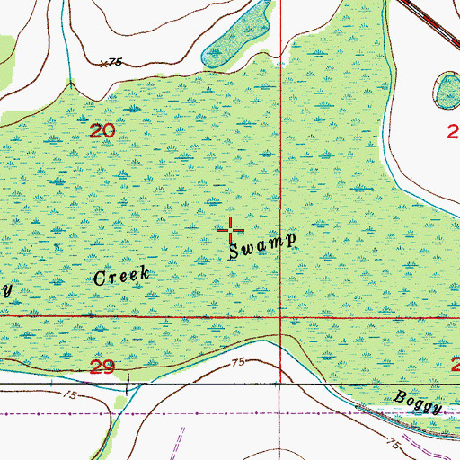 Topographic Map of Boggy Creek Swamp, FL
