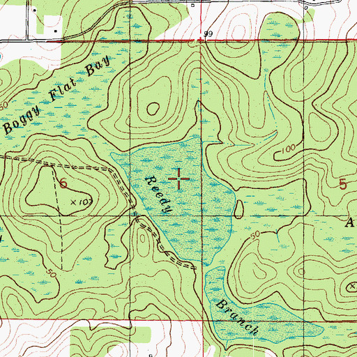 Topographic Map of Boggy Flat Bay, FL