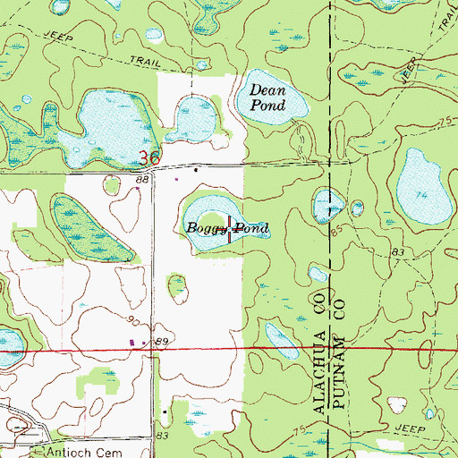 Topographic Map of Boggy Pond, FL