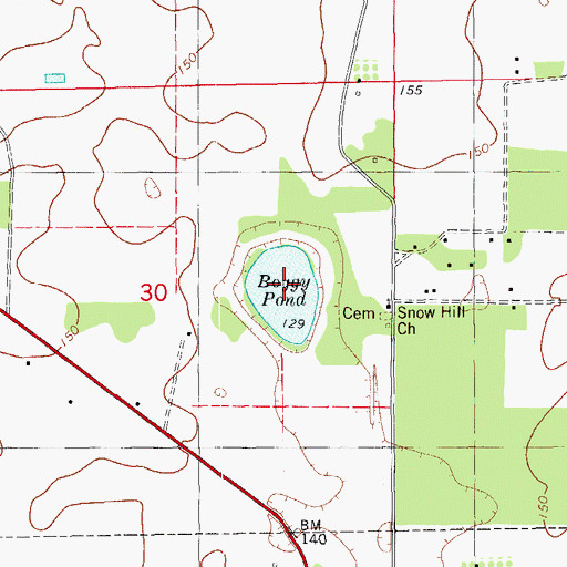 Topographic Map of Boggy Pond, FL