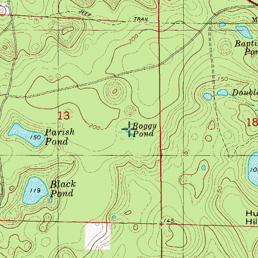 Topographic Map of Boggy Pond, FL