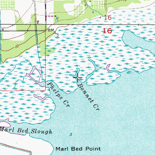 Topographic Map of Bonnet Creek, FL