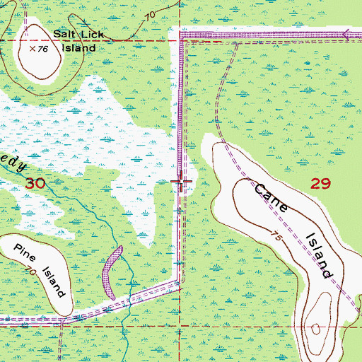 Topographic Map of Bonnet Creek, FL
