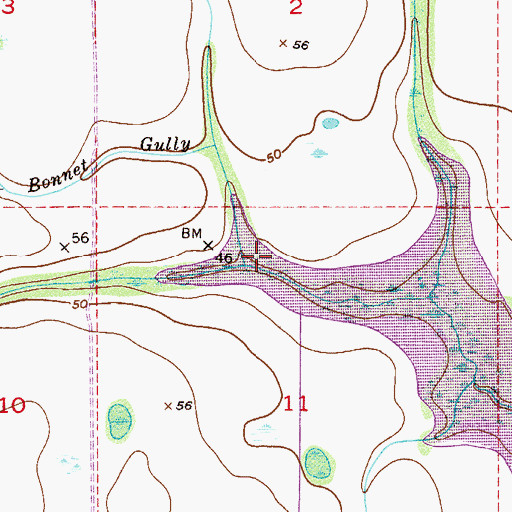 Topographic Map of Bonnet Gully, FL