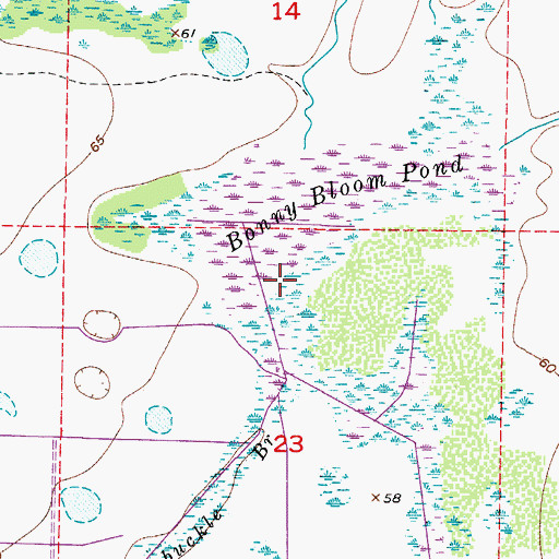 Topographic Map of Bonny Bloom Pond, FL