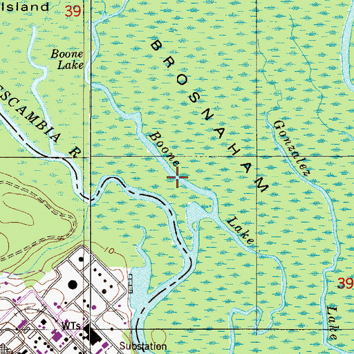 Topographic Map of Boone Lake, FL