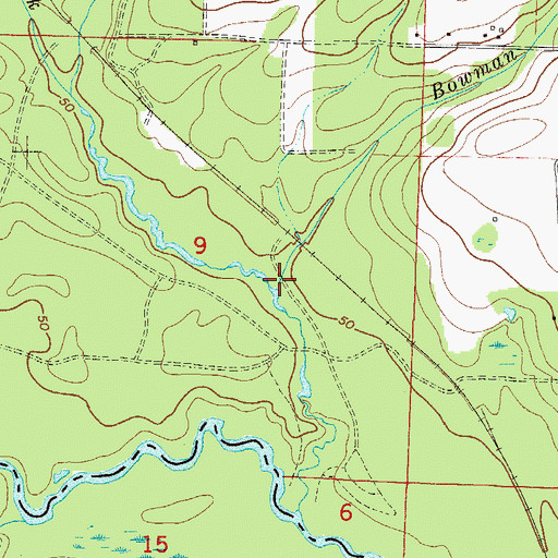 Topographic Map of Bowman Creek, FL